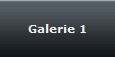 Galerie 1