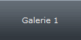 Galerie 1